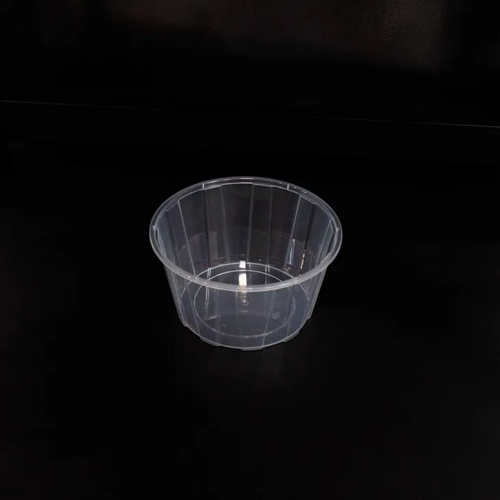 Clear Plastic Bowls - Showcase Your Cuisine (19)