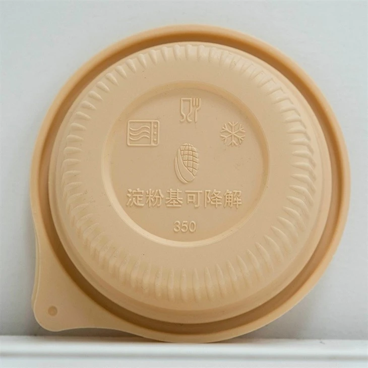 Disposable Biodegradable Bowls - Ideal for Eco-Conscious Takeaway (6)